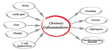 All you need to Know about Chronic Inflammation